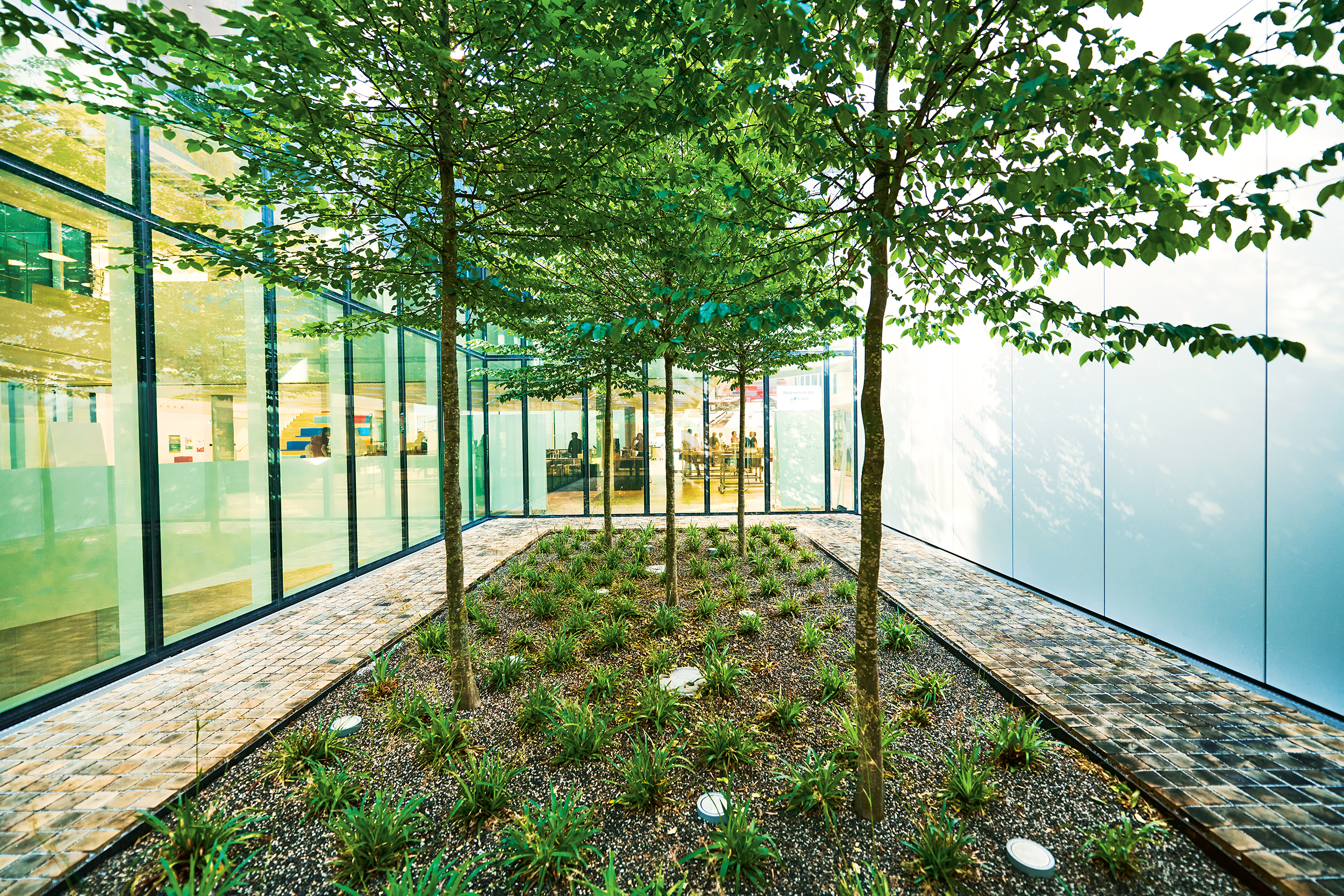 Klimaanpassung ist ein Gebot der Stunde