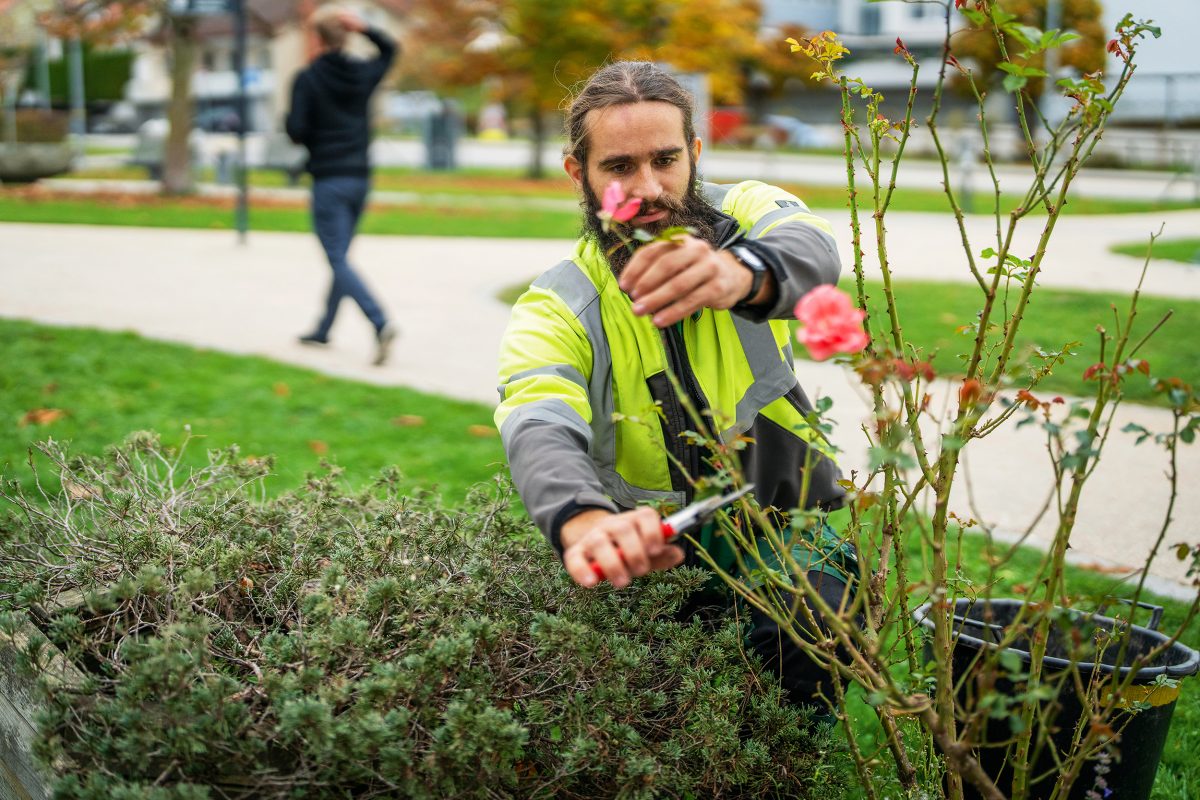 Grün-Service PUBLIC