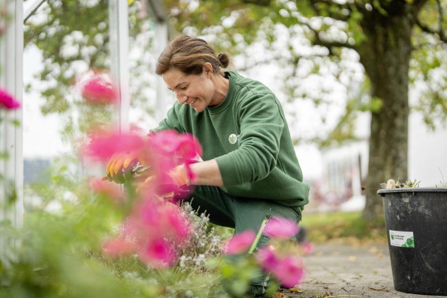 Was uns in der Gartenpflege von anderen abhebt