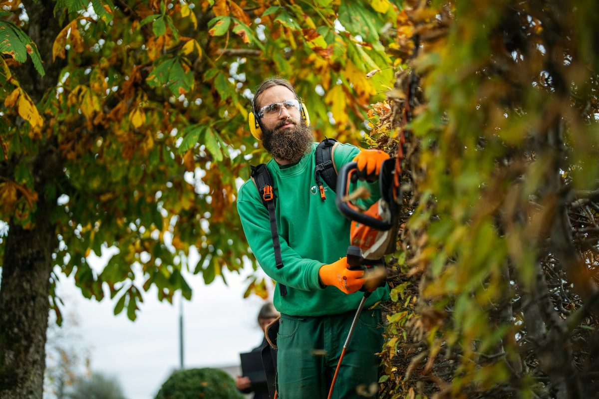 Pflege und Unterhalt