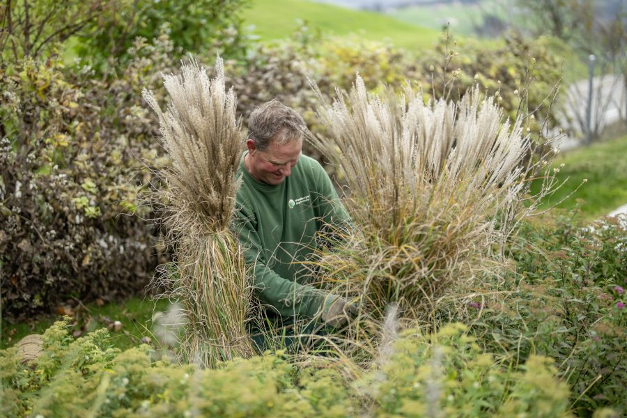 Wo liegen die Spezialitäten in der Pflege eines Privatgartens?