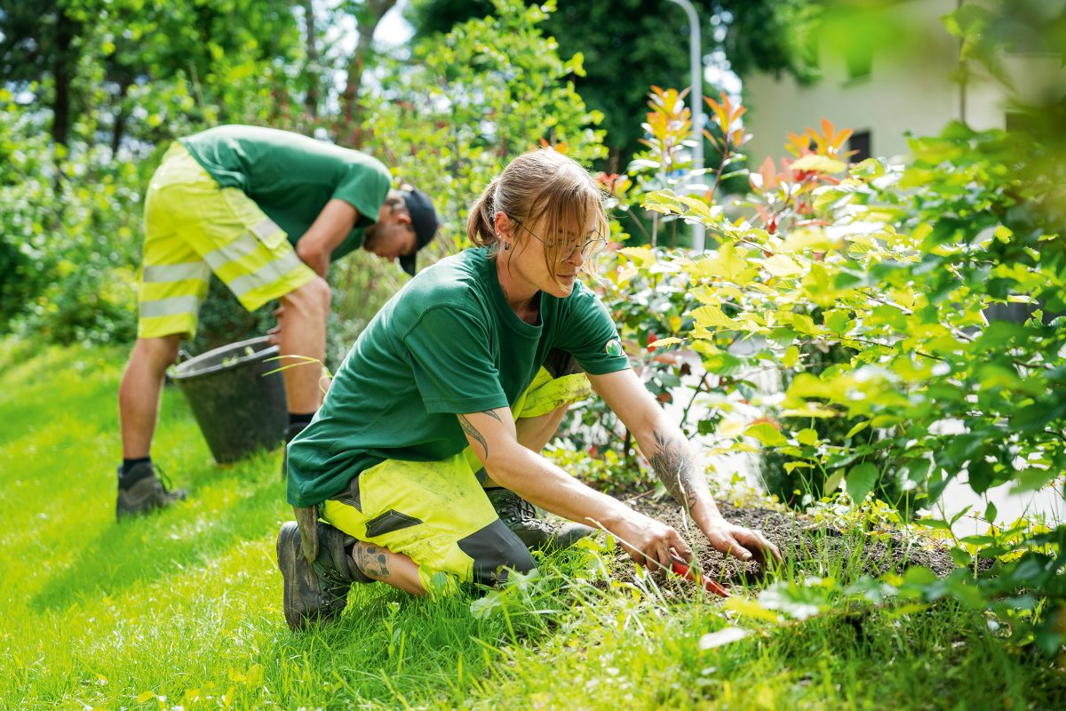 Einmalige und wiederkehrende Service-Leistungen