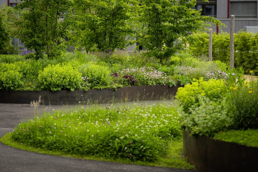 Was uns in der Gartenpflege von anderen abhebt