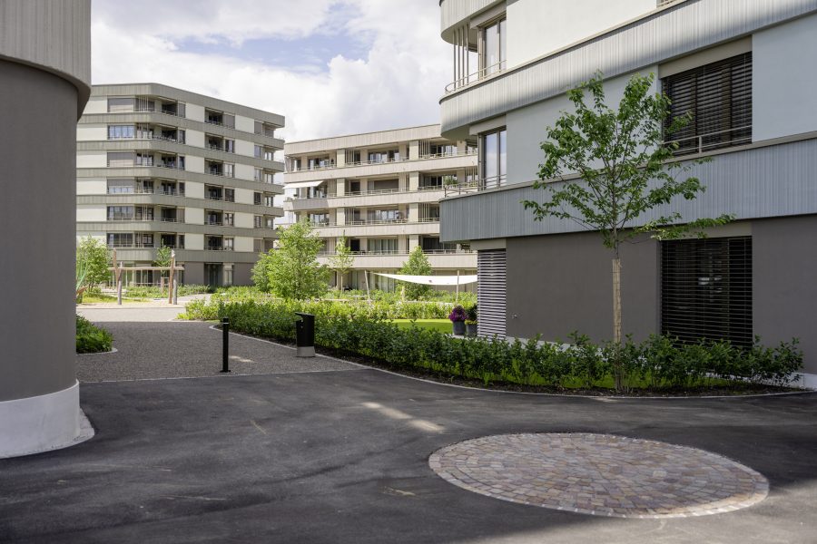 Welches waren die grössten Herausforderungen rund um das Projekt Hirzepark?