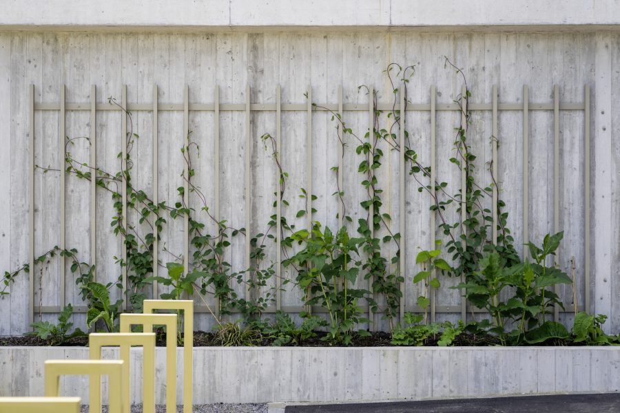 Was uns in der Gartenpflege von anderen abhebt