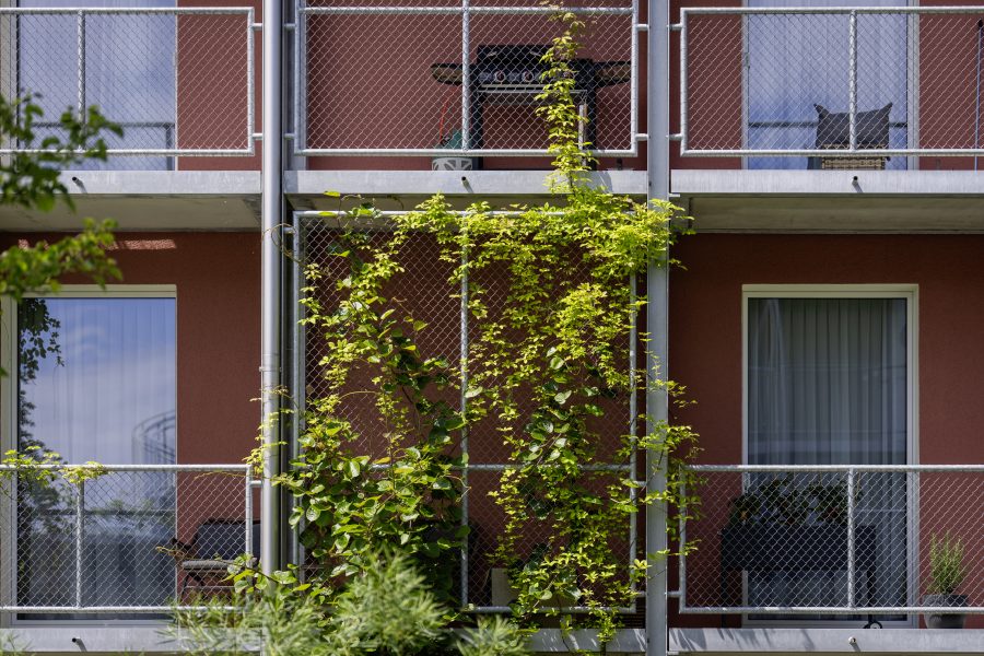 Gab es Herausforderungen im Rahmen dieses Projektes?