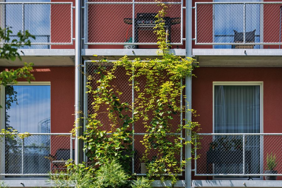 Wohnsiedlung Fassadenbegrünung Uzwil