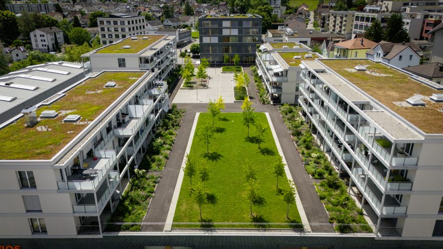 Welches waren die grössten Herausforderungen rund um dieses Projekt?