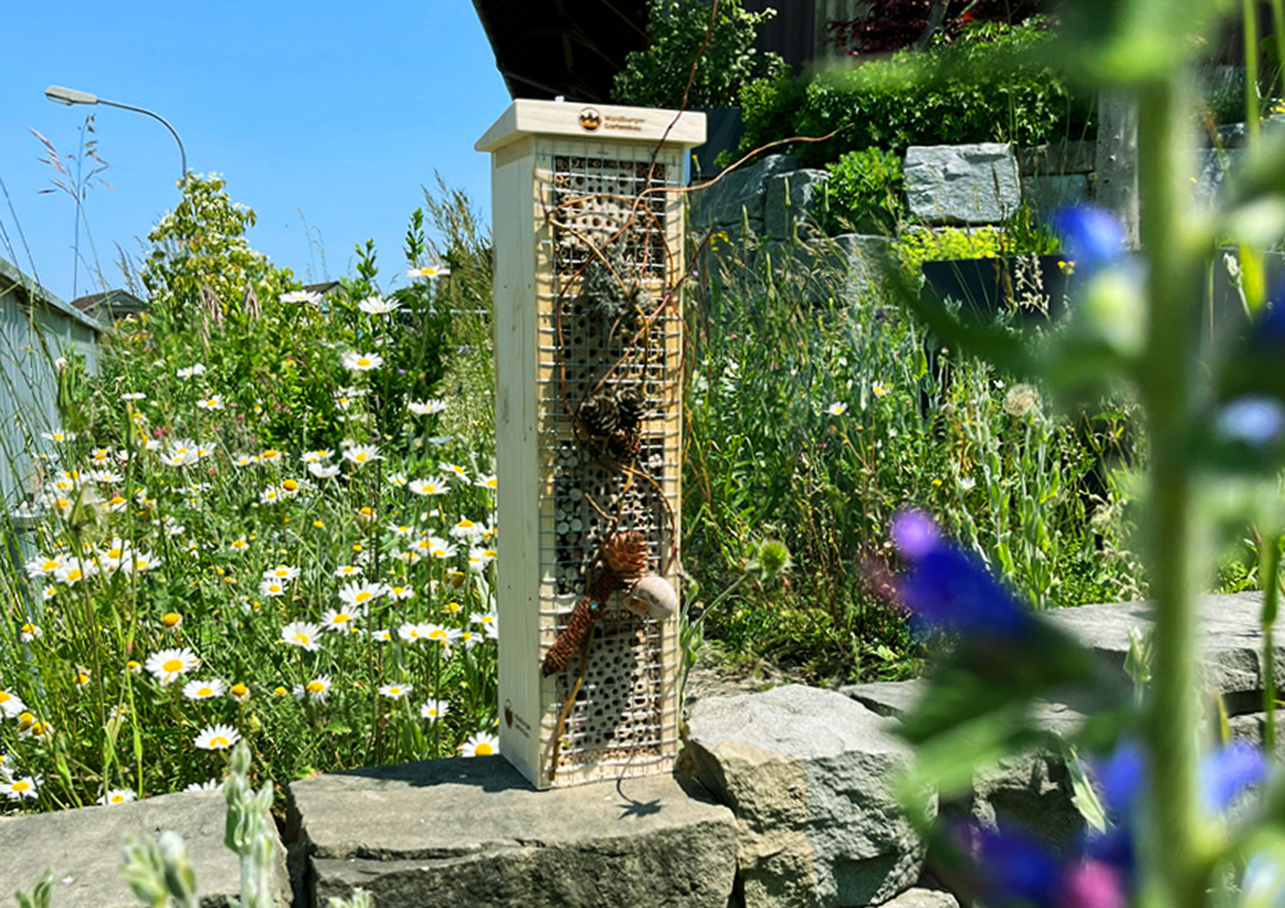 Ein Zuhause für Wildbienen