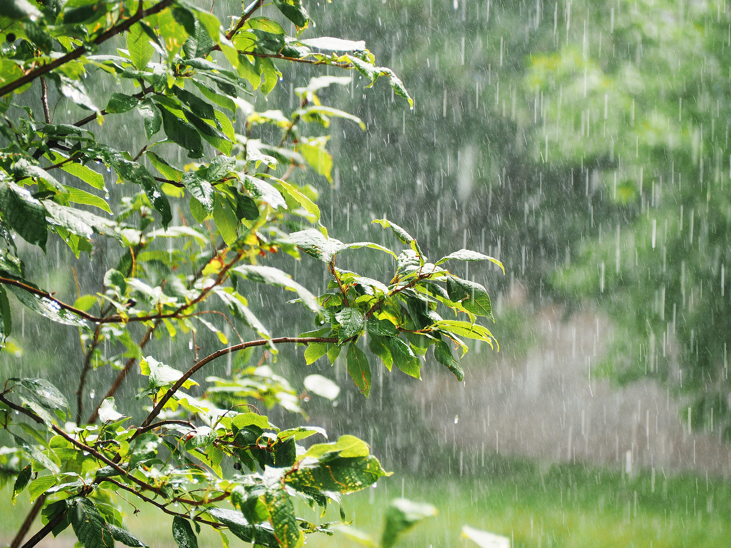 Wetterkapriolen: Bitte um Verständnis