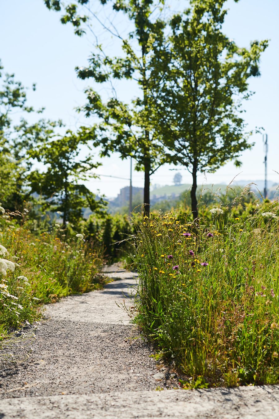 Wo lagen die grössten Herausforderungen in diesem Projekt?