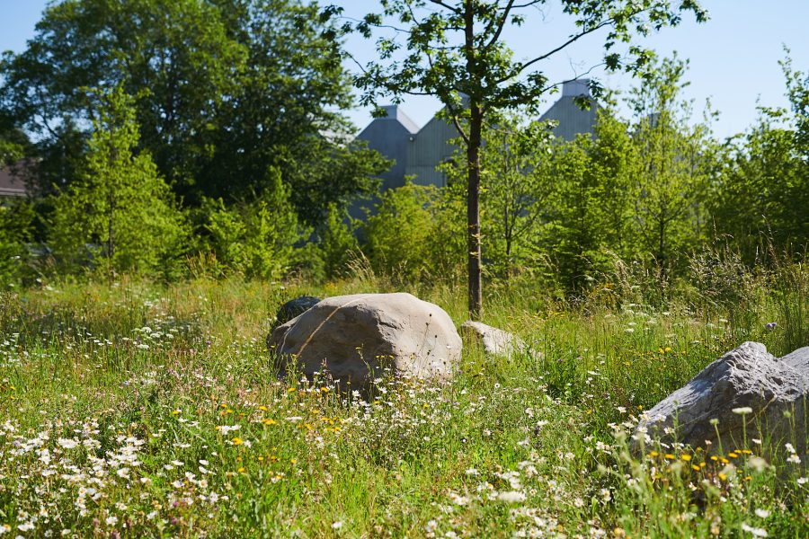 Naturmuseum Stadt St. Gallen