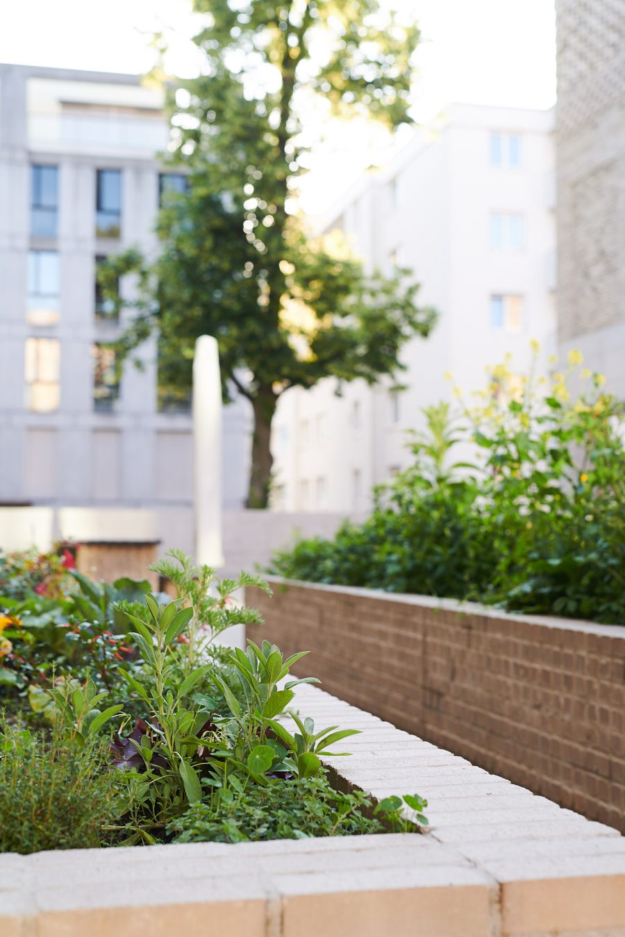 Was uns in der Gartenpflege von anderen abhebt