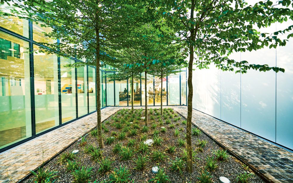 190618_Waldburger-Gartenbau_Referenzen_Buehler-Innovation-Campus_0006_eciRGB_v2