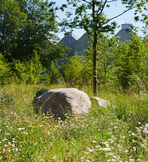190618_Waldburger-Gartenbau_Referenzen_Naturmuseum-StGallen_0043_sRGB-1920px-preview
