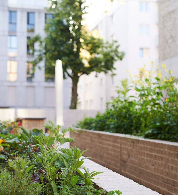 190618_Waldburger-Gartenbau_Referenzen_Primarschule-StLeonhard_0064_sRGB-1920px-preview