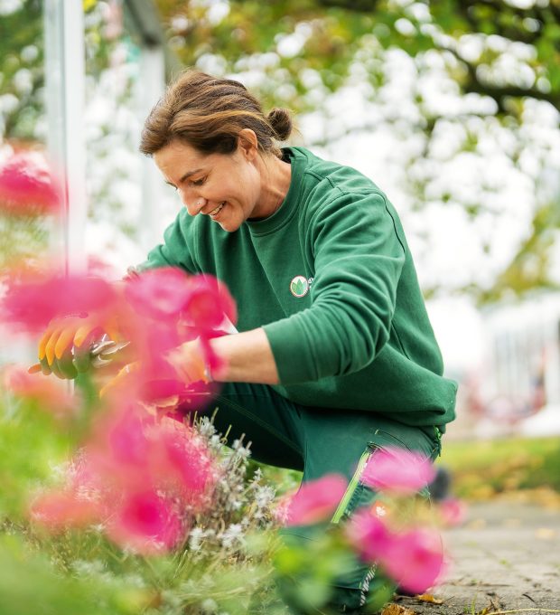Herisau, Appenzell Ausserrhoden, Schweiz, 1. November 2022 - Waldburger Gartenbau stehen rund 70 Mitarbeiterinnen und Mitarbeiter mit vielerlei Gruenkompetenzen. Wir planen, bauen und pflegen Gaerten, Liegenschaften, Wohnueberbauungen und Gruenanlagen.