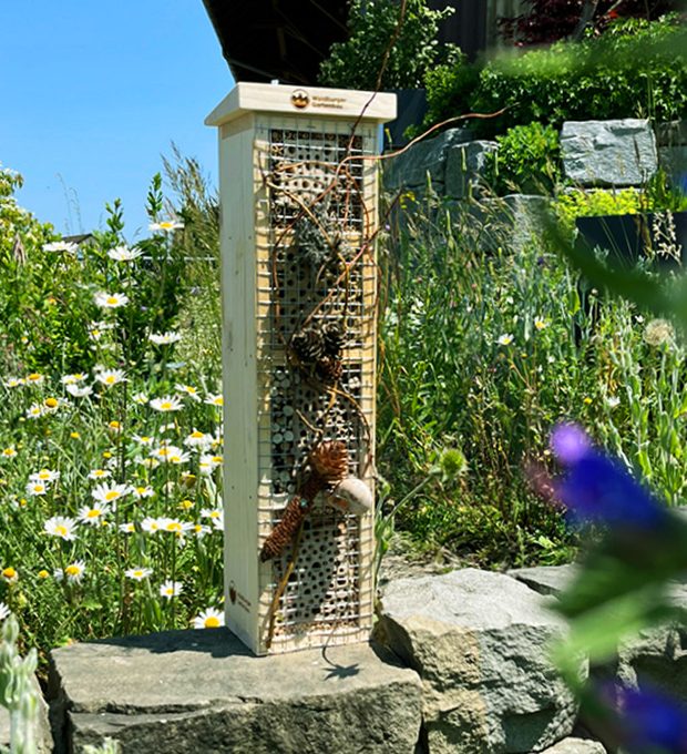 2_2-waldburger-newsletter-2-juni-wildbienenhaus1