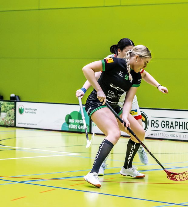 53496403668_126320ea44_3k