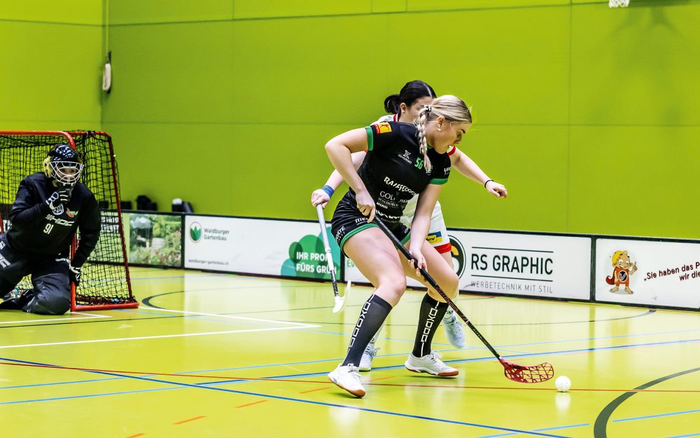 53496403668_126320ea44_3k